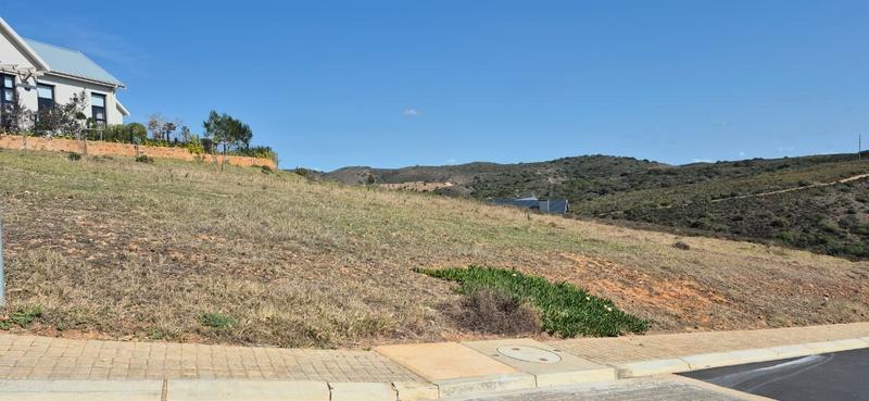 0 Bedroom Property for Sale in Outeniquasbosch Western Cape